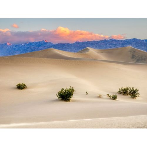 California Death Valley National Park-Mesquite Flat Sand Dunes